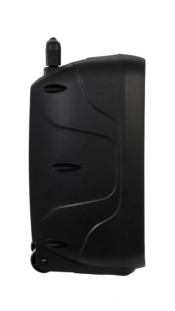 Loa di động công suất 20W hiệu Fonestar Model: MALIBU-308