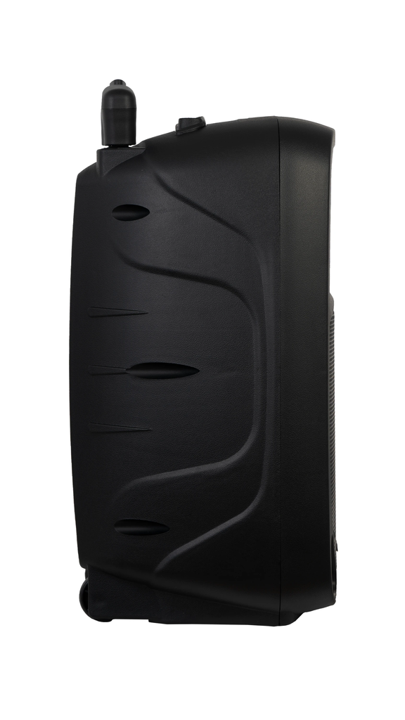 Loa di động công suất 20W hiệu Fonestar Model: MALIBU-310