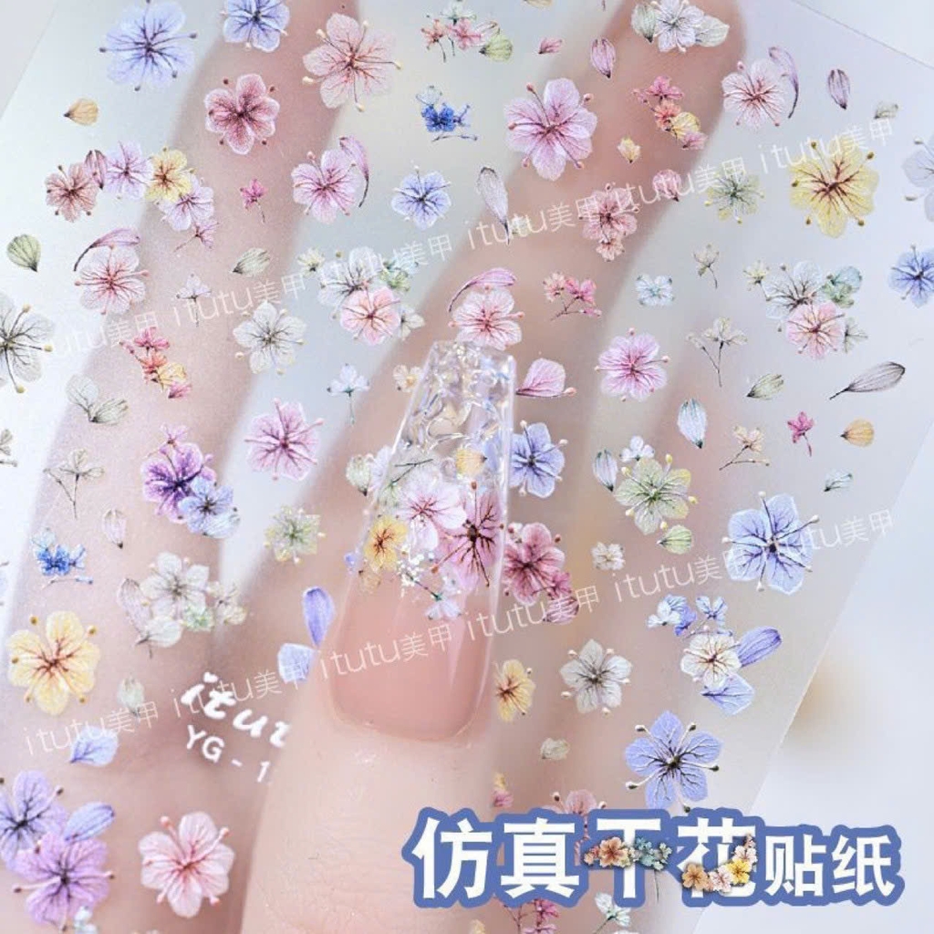 stick hoa dán móng -stickẻ màu sắc giống hoa khô dán móng siêu đẹp