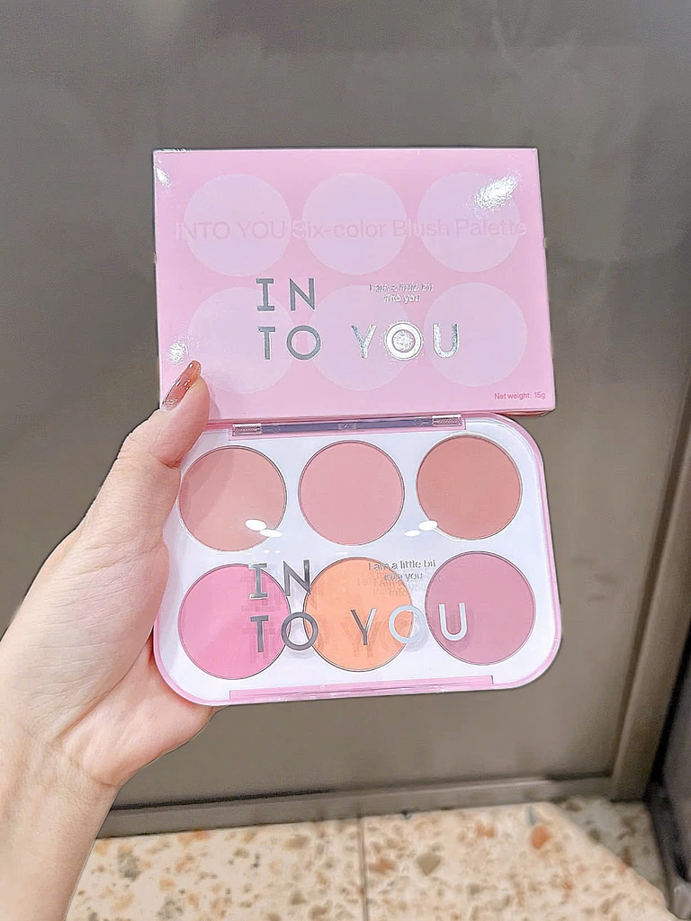 Má hồng INTO YOU you six color blush palette (công ty)