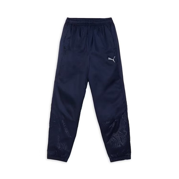 Quần Dài Puma Chính Hãng - TEAMFINAL Padded Pants - Màu Navy | JapanSport 659741-06