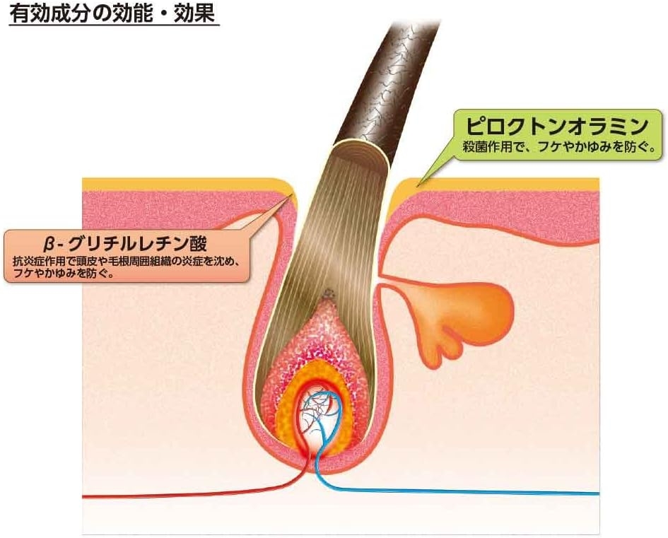 Dầu gội kích thích mọc tóc Kaminomoto chính hãng - KAMINOMOTO MEDICATED SHAMPOO - 300ml | JapanSport