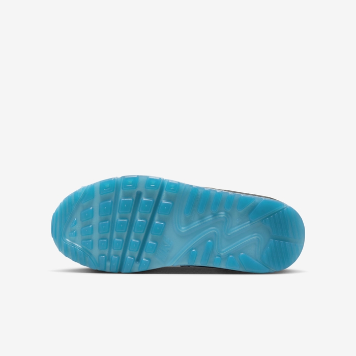 Giày Nike Nữ Chính Hãng - Nike Air Max 90 - Màu Đen | JapanSport FV0361-001