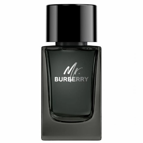 Nước Hoa Burberry Chính hãng - Men's Mr. EDP Natural Spray Vaporisateur oz ( 150ml ) | JapanSport