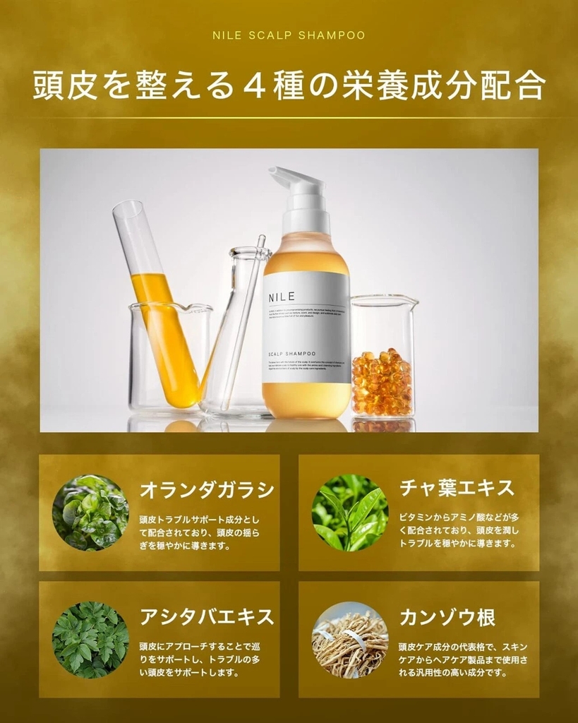 Dầu gội NILE chính hãng - NILE Rich Foam Scalp Shampoo - 300ml | JapanSport