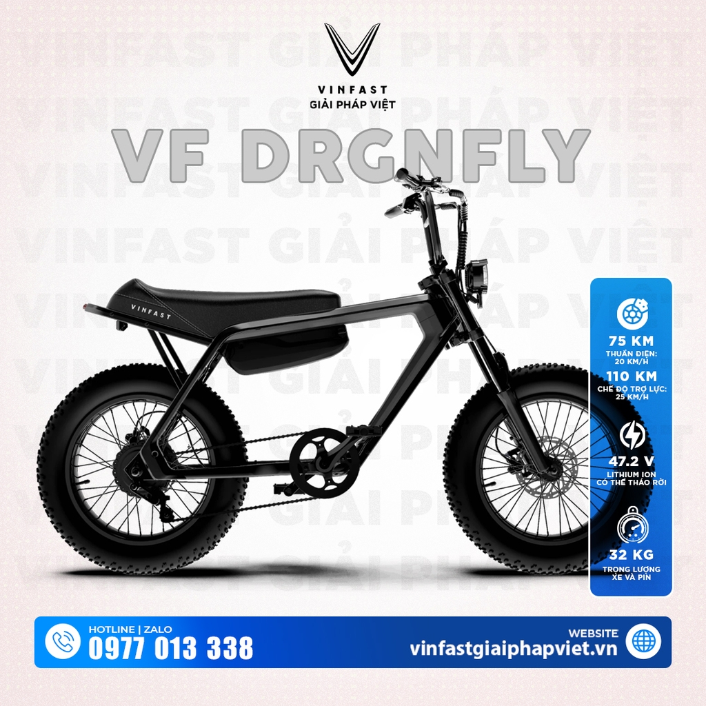 DRGNFLY
