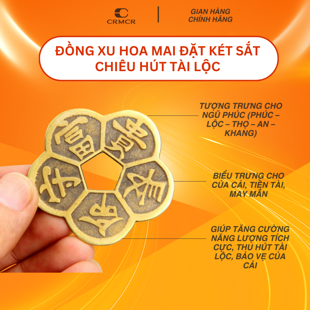 Đồng Xu Hoa Mai Kim Tiền Đặt Két Sắt Chiêu Hút Tài Lộc