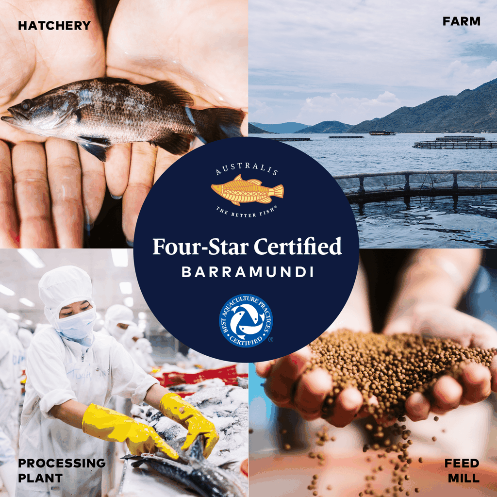 Cá vược đại dương The Better Fish® đạt chứng nhận BAP - 4 sao.