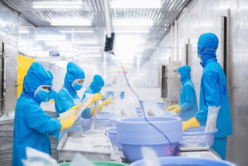 Cá vược đại dương The Better Fish® đạt các tiêu chuẩn cao bậc nhất thế giới.