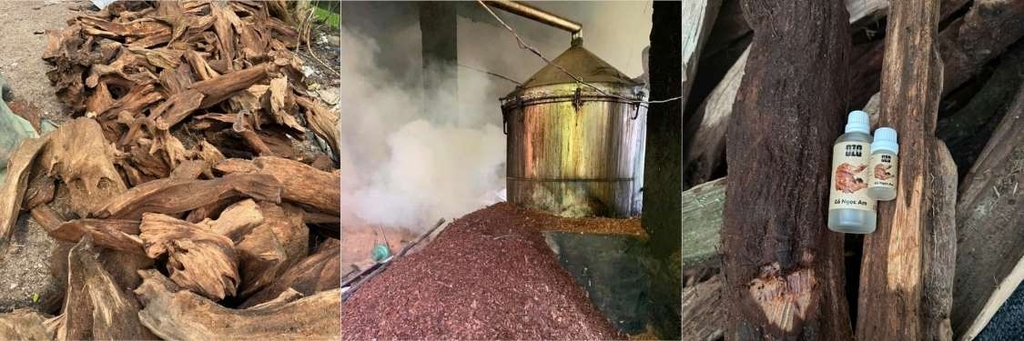 Xưởng sản xuất tinh dầu gỗ Ngọc Am ở Hà Giang