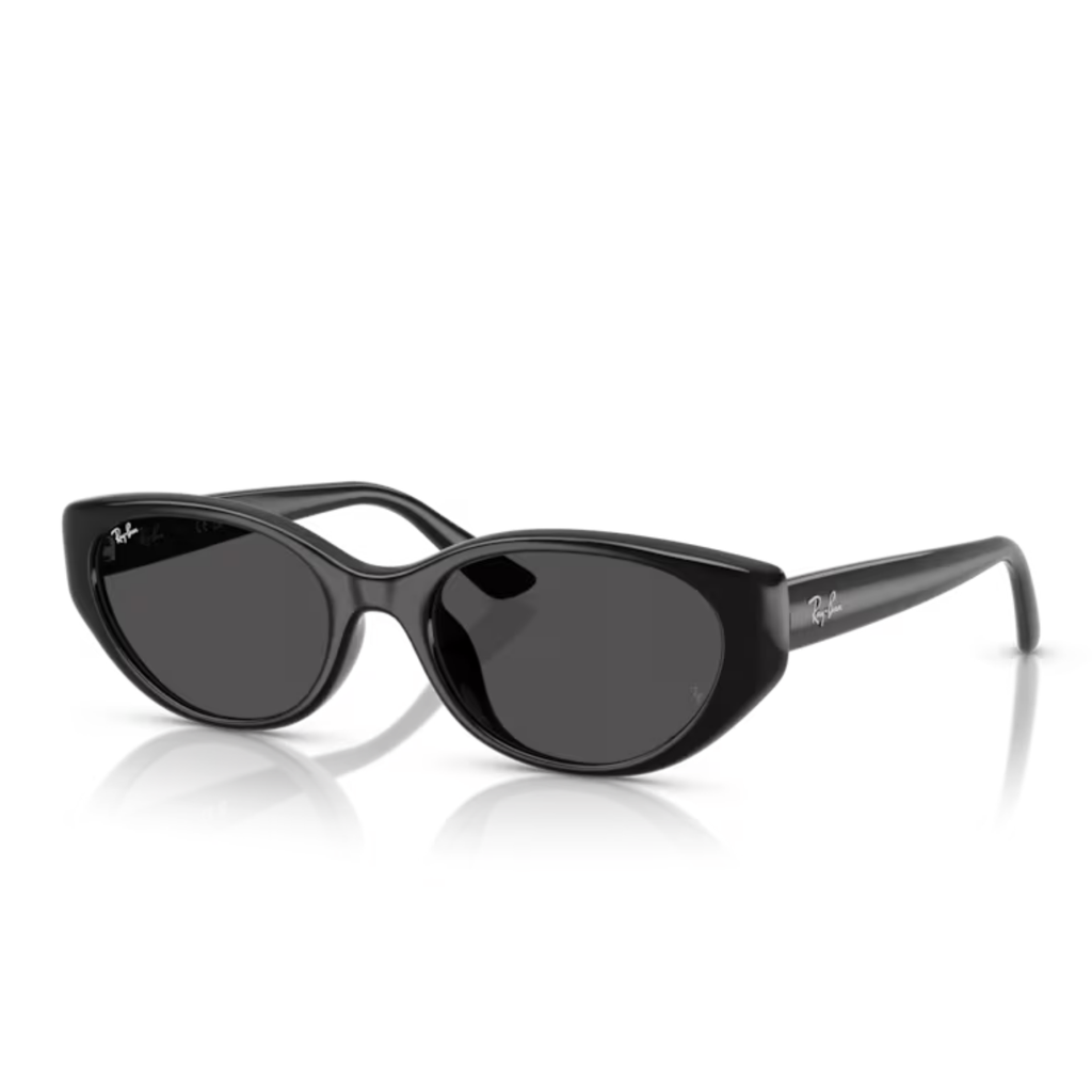 RAY-BAN 0RB4457D 667787 55 BLACK