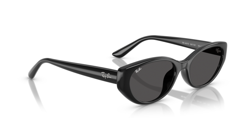 RAY-BAN 0RB4457D 667787 55 BLACK
