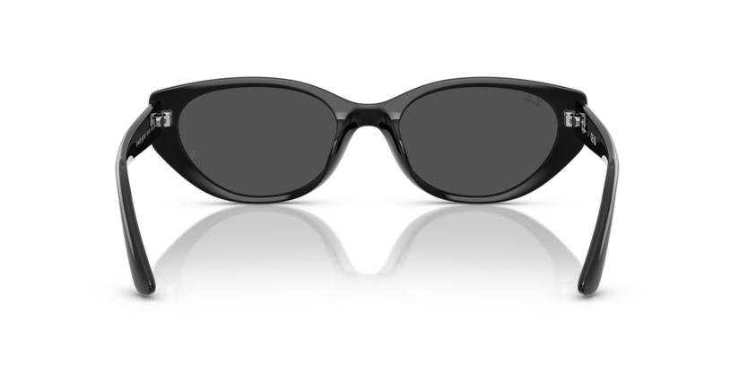 RAY-BAN 0RB4457D 667787 55 BLACK