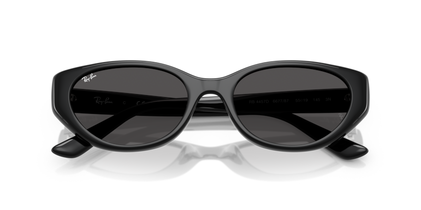 RAY-BAN 0RB4457D 667787 55 BLACK