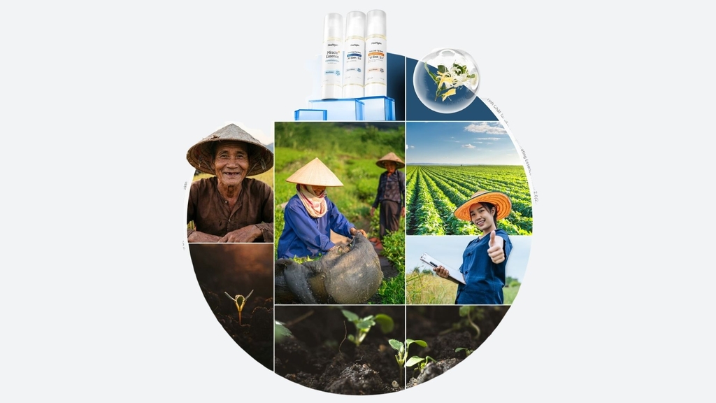 Thành phần sản phẩm