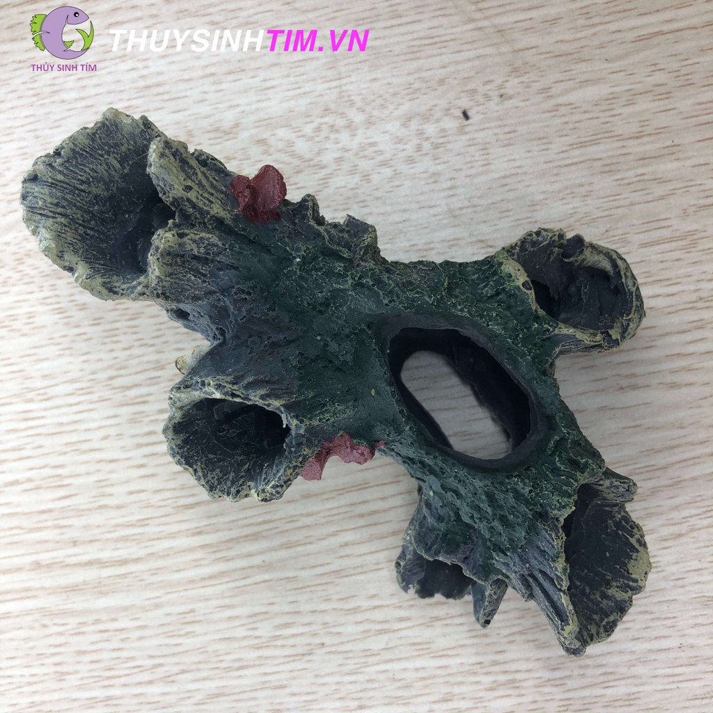 Tượng gốc cây mục to.1