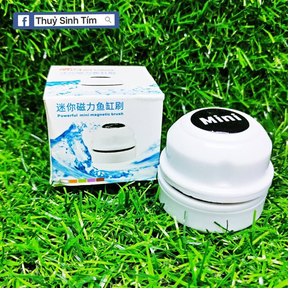 Cọ bể nam châm mini