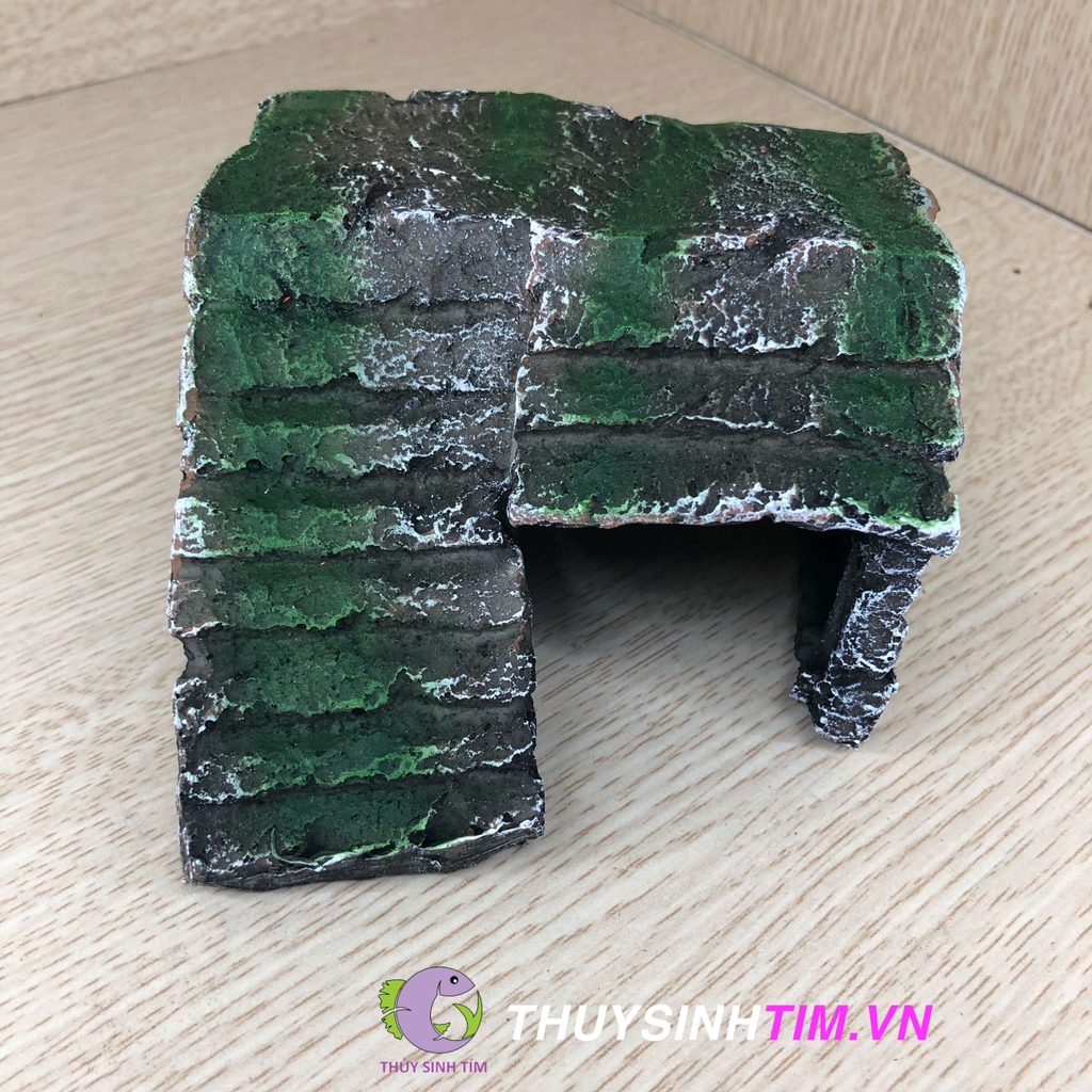 Tượng hang bậc thang.1