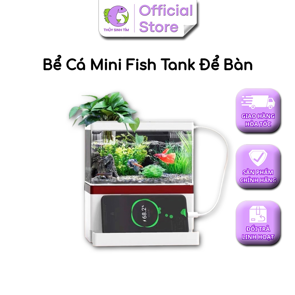 Bể Cá Mini Fish Tank - 6