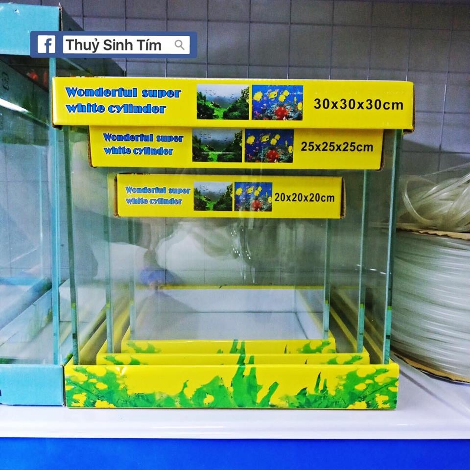 Bể kính siêu trong Cubic 30x30x30