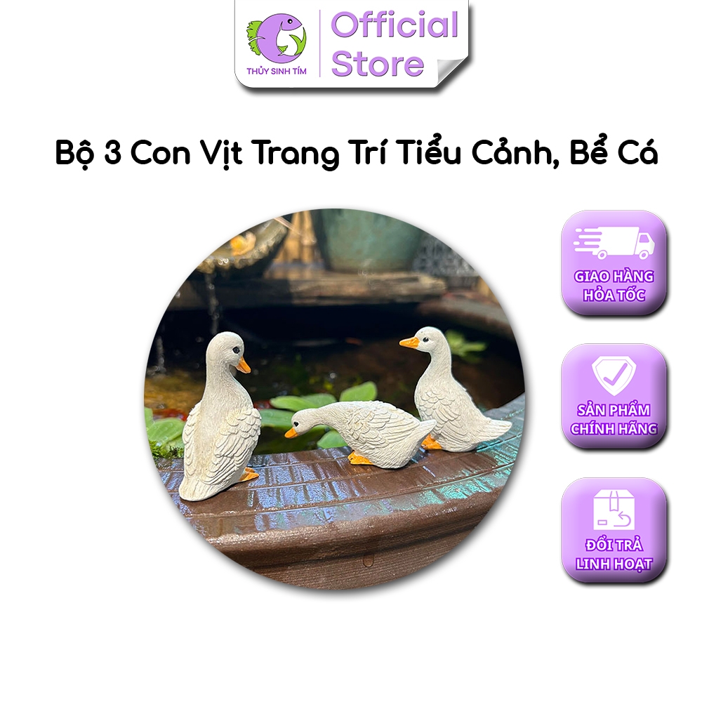 Bộ 3 Con Vịt Trang Trí 5