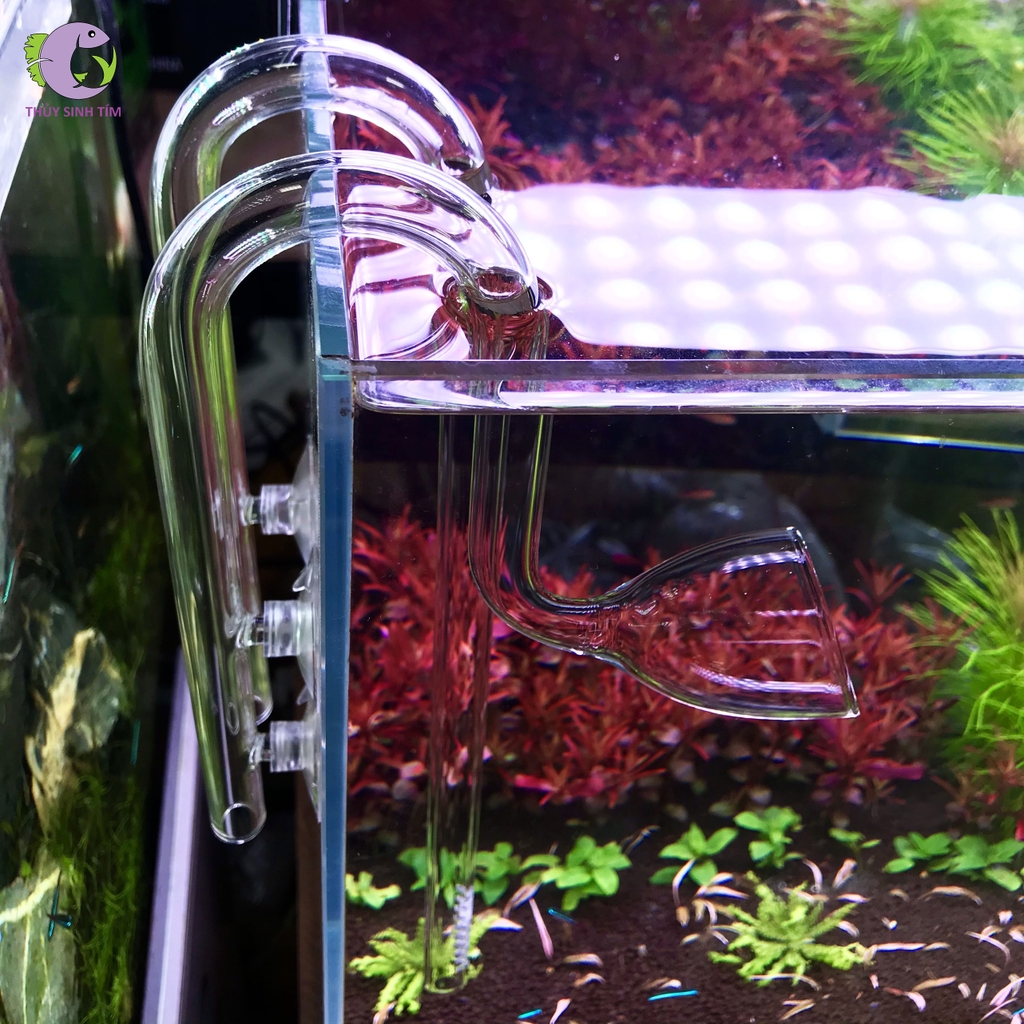 Bộ in out thủy tinh 12mm - 1