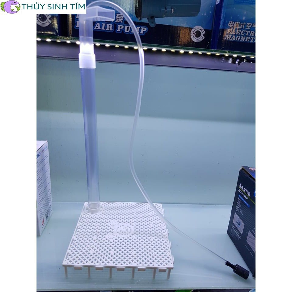 Bộ lọc đáy Taiwan