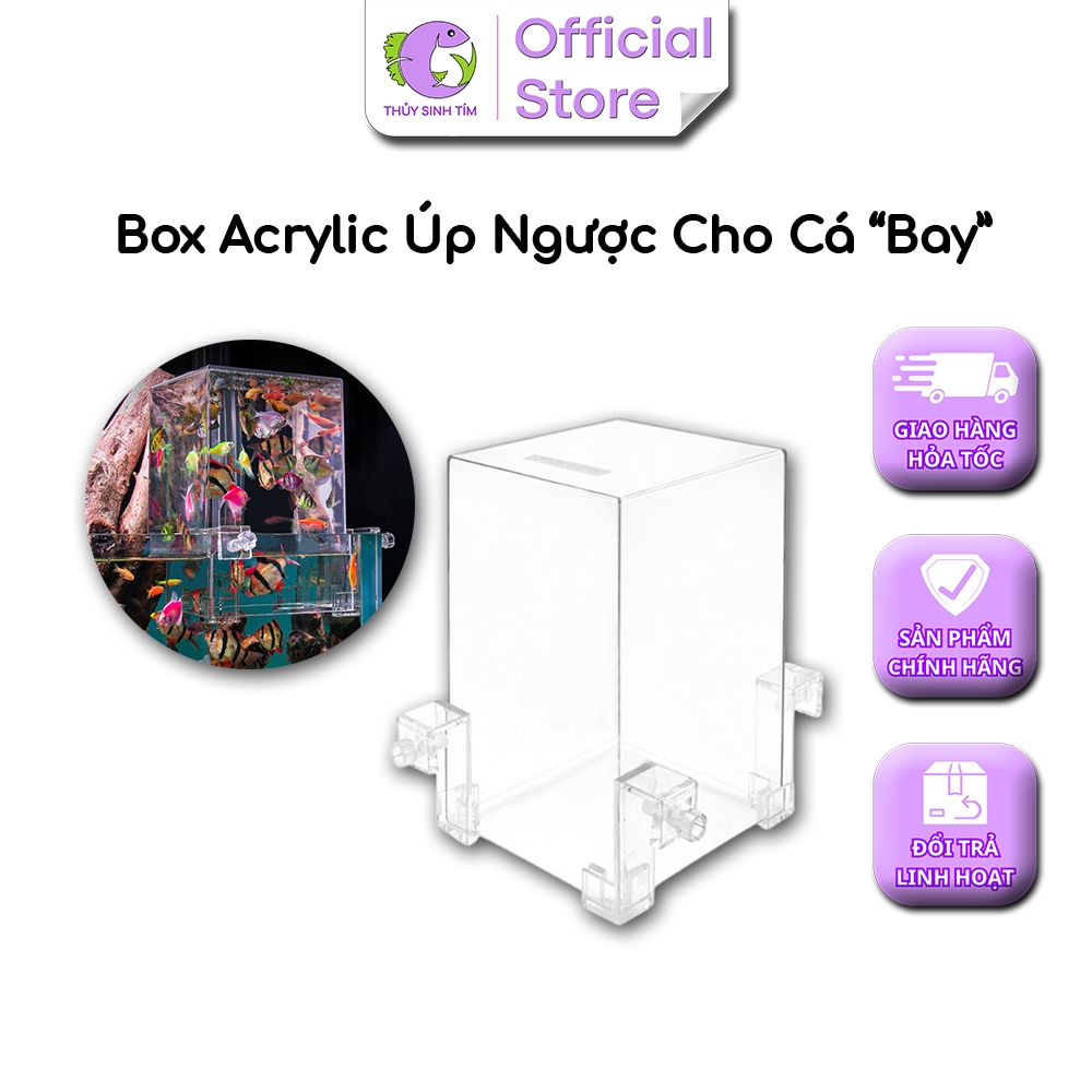 Box Acrylic Úp Ngược - 4
