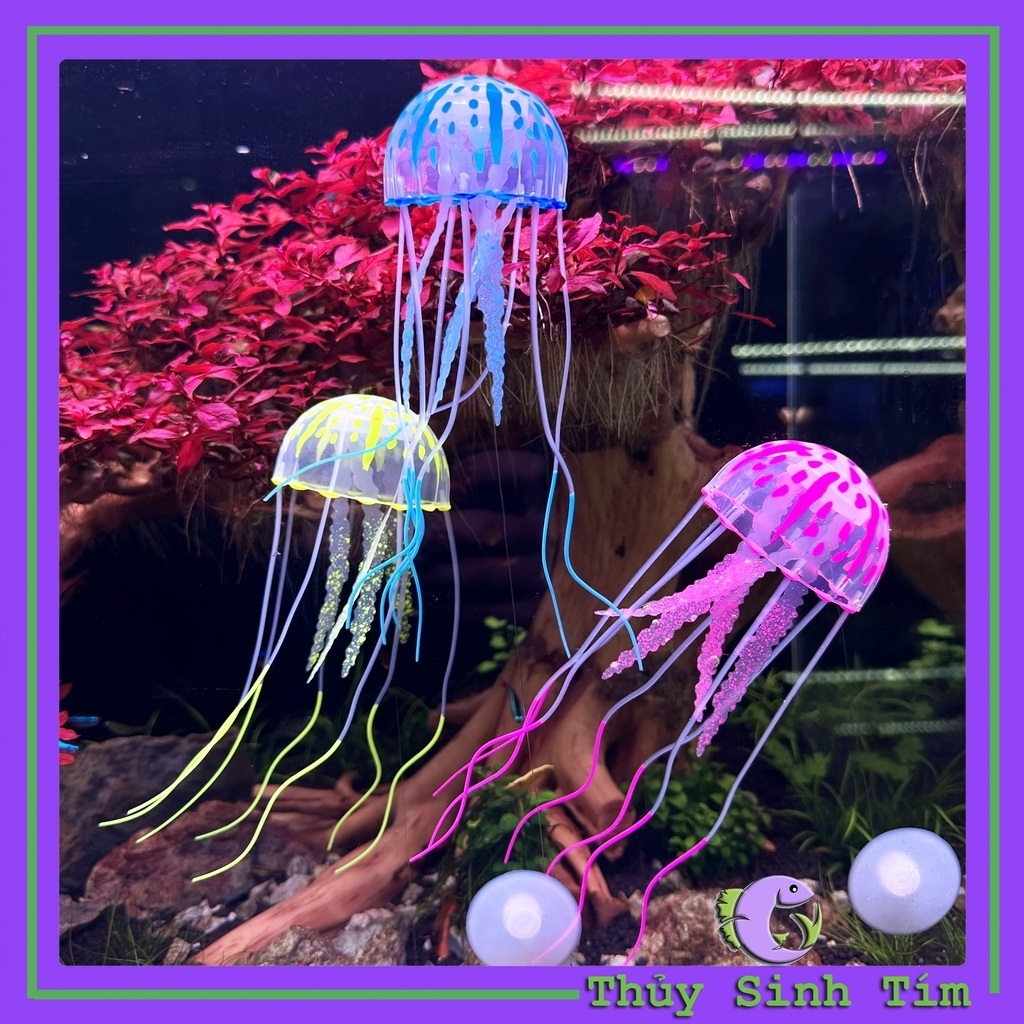 Con Sứa Trang Trí Bể-1