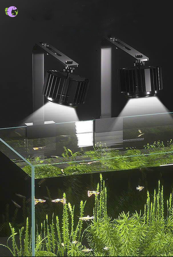 Đèn LED Kaokui KK Pro - 1