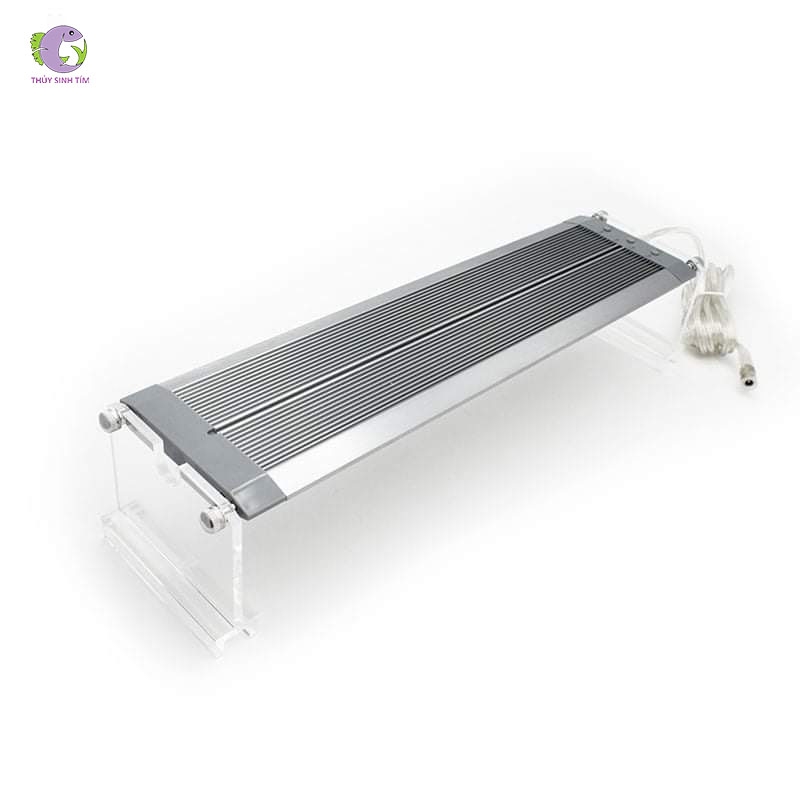 Đèn Week Raptor RGB D600-1