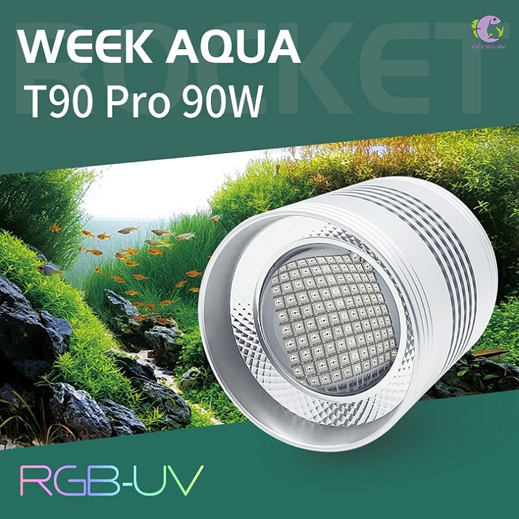 Đèn Week T90 Pro-1