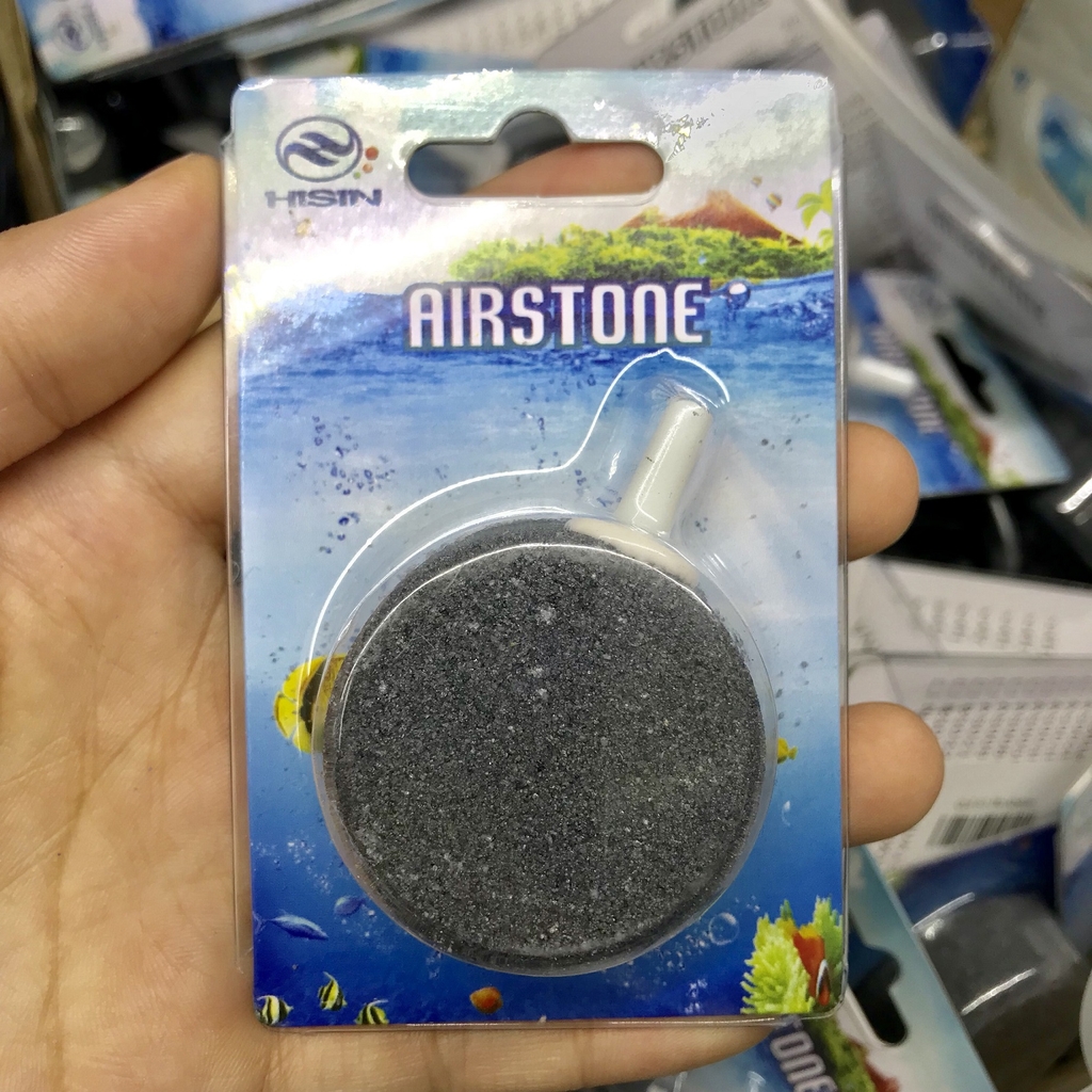 Quả sủi đĩa Airstone