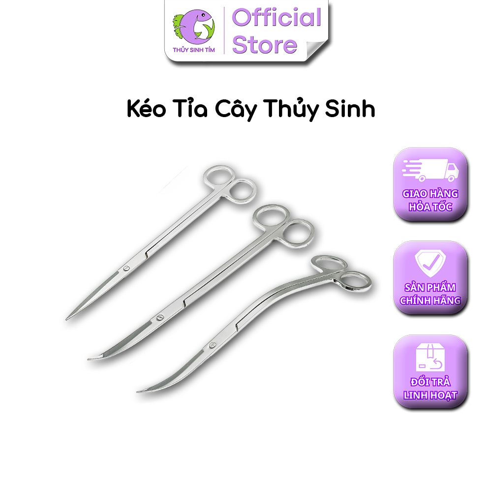 Kéo Inox Trắng Cong Đầu 25cm - 3