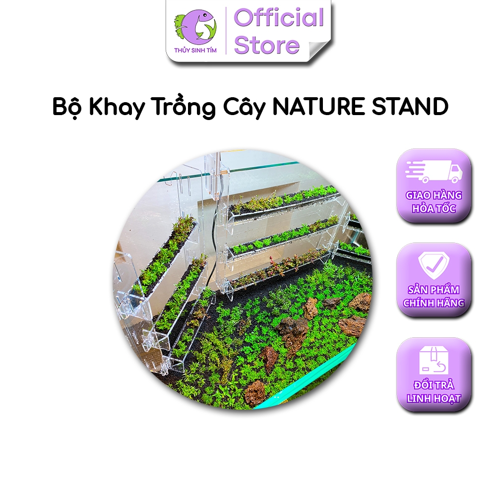 Bộ Khay Trồng Cây Treo Thành Bể NATURE STAND 5