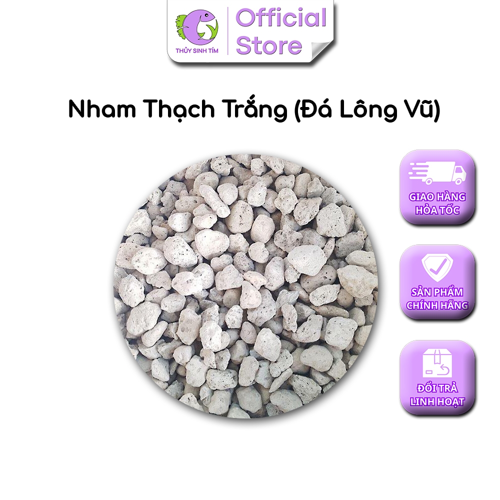 Đá nham thạch trắng size M - 2
