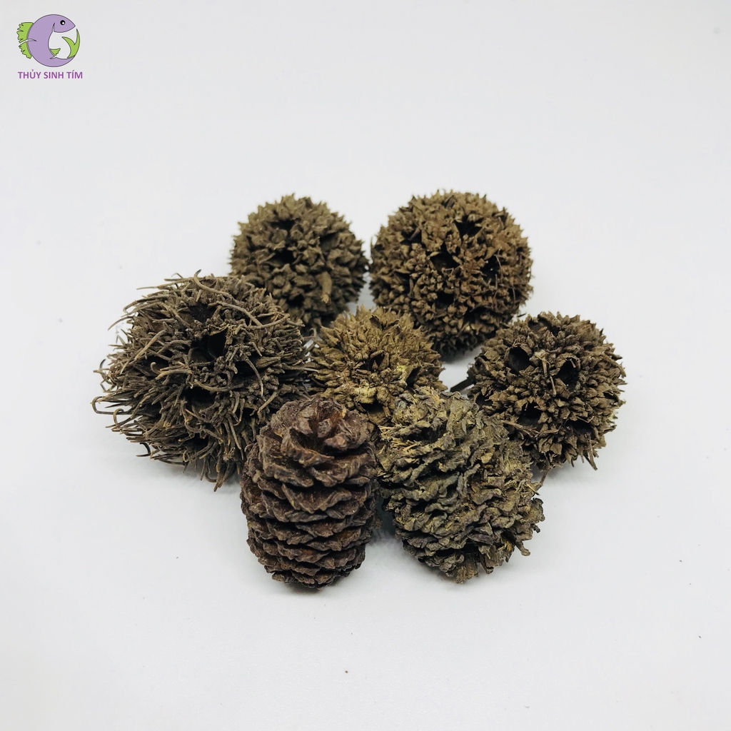 Gói quả khô hỗn hợp cho tép