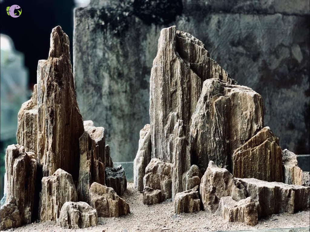 Đá Trầm Tích Vân Gỗ