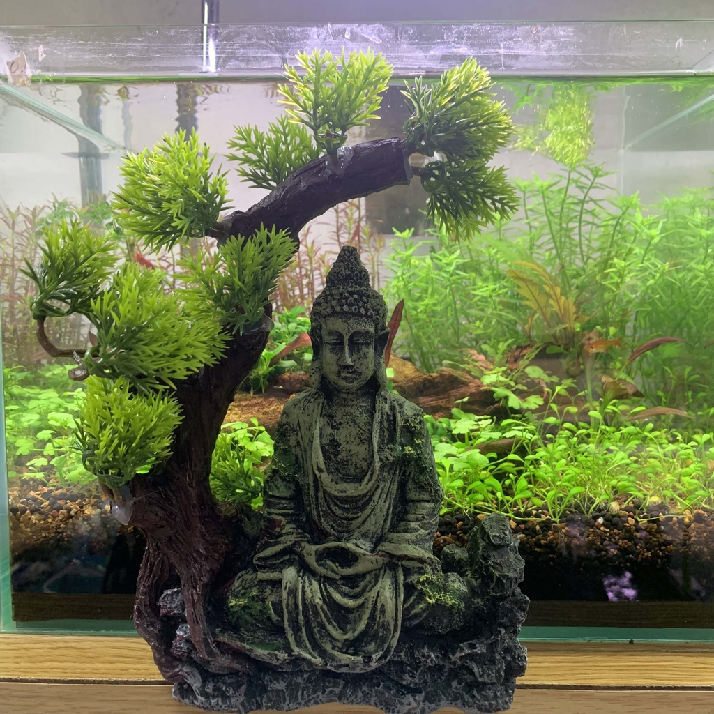 Tượng Phật Thiền Bên Gốc Cây-1