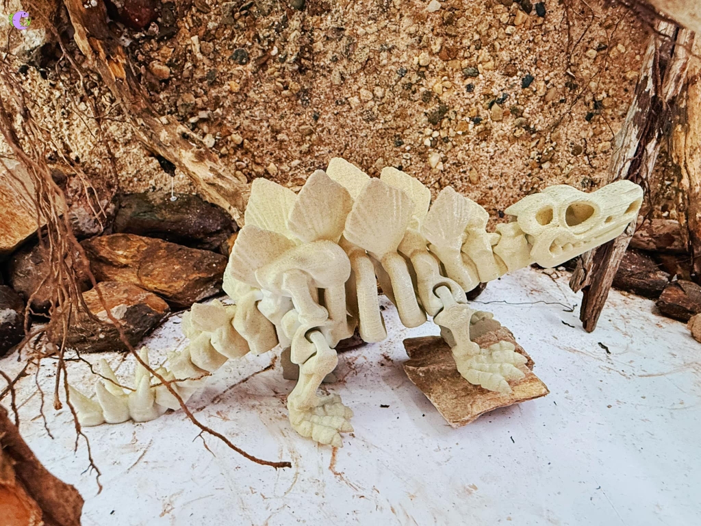 Tượng Hoá Thạch In 3D - 1