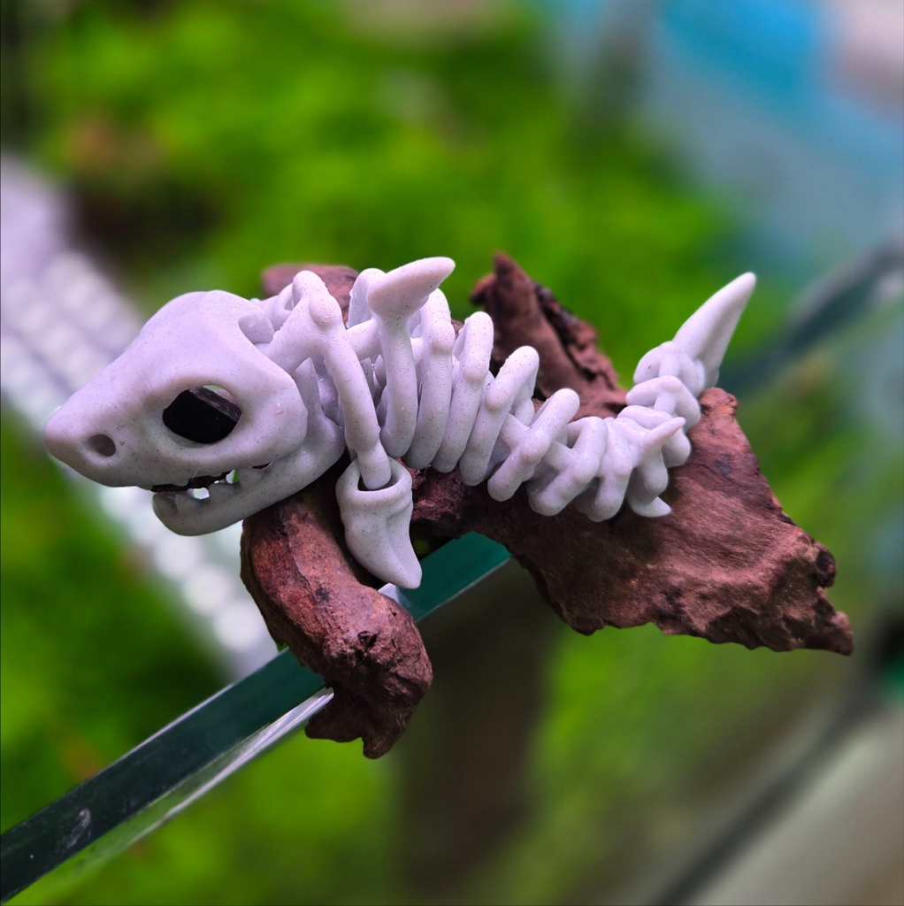 Tượng Hóa Thạch Cá Mập - 1