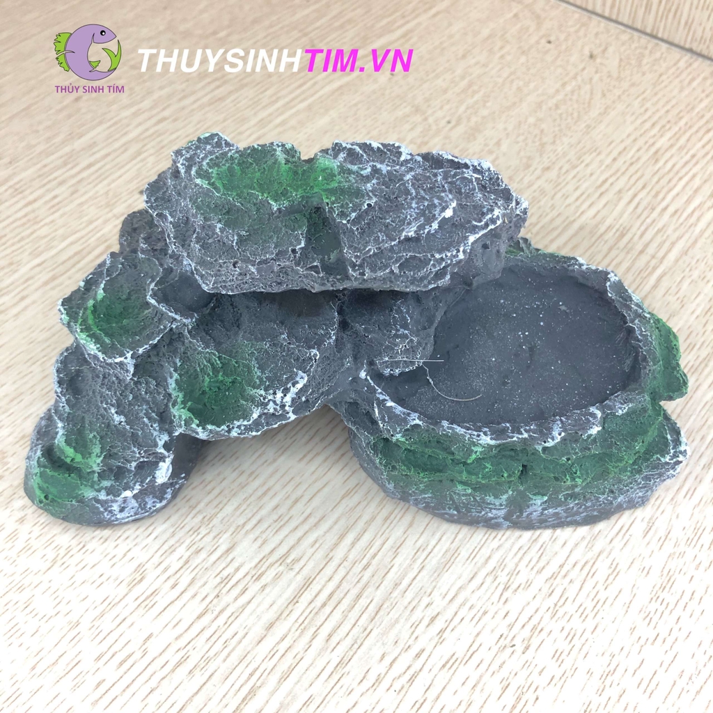 Khay đựng thức ăn đơn