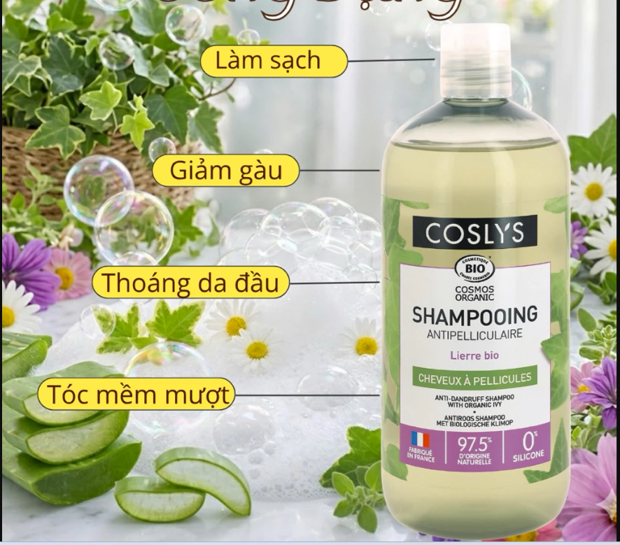 Dầu gội trị gàu hữu cơ Coslys (500ml)