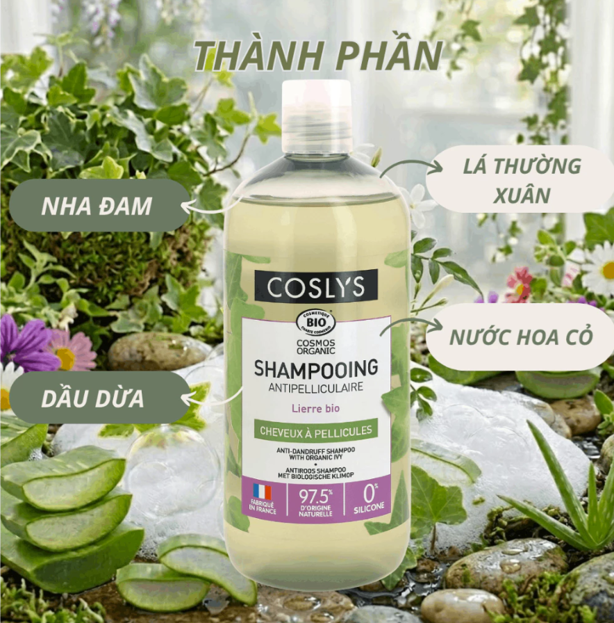 Dầu gội trị gàu hữu cơ Coslys (500ml)