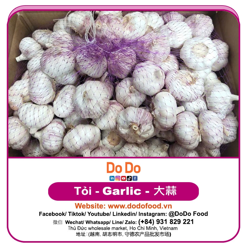 中国大蒜- Chinese Garlic | DODO FOOD