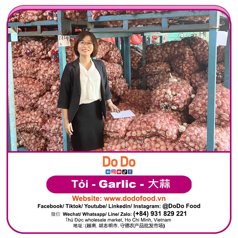 中国大蒜- Chinese Garlic | DODO FOOD