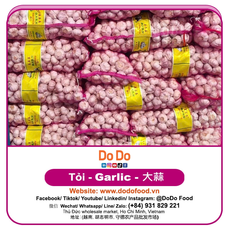 中国大蒜- Chinese Garlic | DODO FOOD