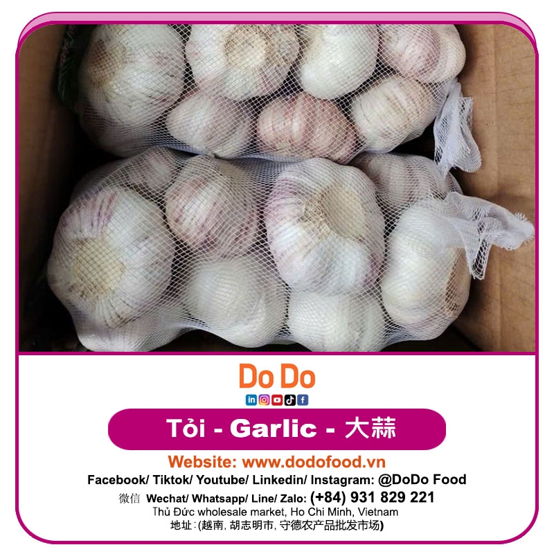 中国大蒜- Chinese Garlic | DODO FOOD