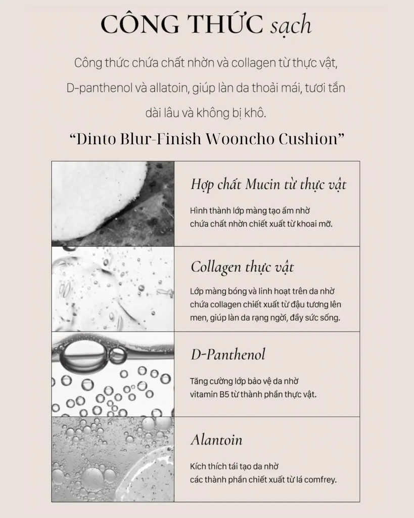 Phấn Nước Dinto Cushion Blur-Glowy Wooncho 942 Sage Wooncho- 12g