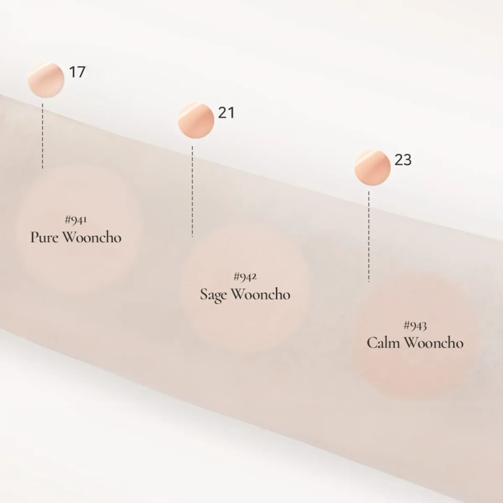 Phấn Nước Dinto Cushion Blur-Glowy Wooncho 941 Pure Wooncho- 12g